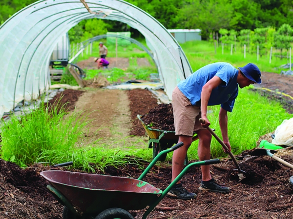 Jardiner ensemble et créer du lien social, la vocation des jardins partagés
