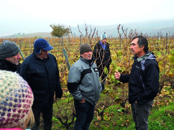 Du Rhône au Roussillon, le réseau Dephy viti face au changement climatique