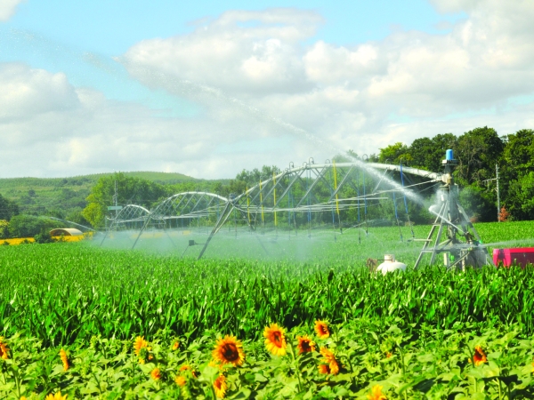 Irrigation : la course aux nouvelles ressources a commencé 
