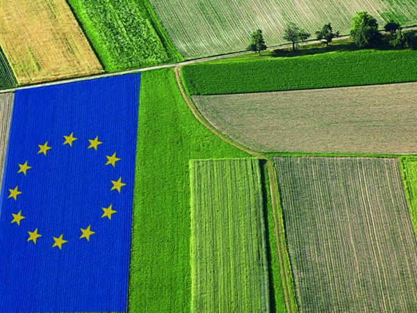 Comprendre les différents dispositifs européens d’aide à l’agriculture