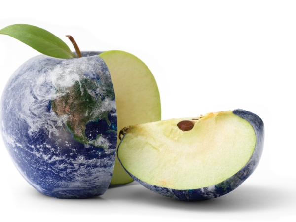 Jour de dépassement de la Terre : la faute à l’alimentation ?