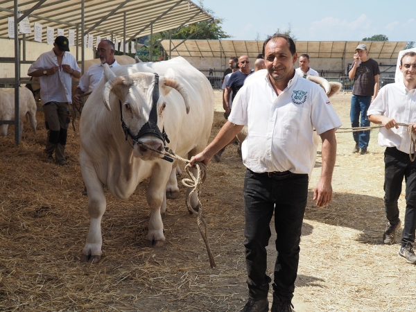 Raphaël Loveno : “ Le concours,  c’est la fête de l’élevage ”