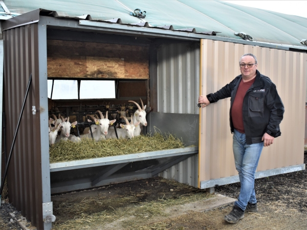 Alimentation des chèvres, comment diminuer la pénibilité ?