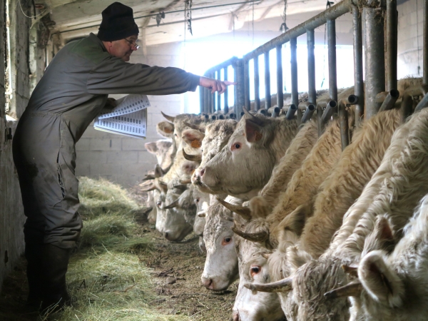 Vétérinaire en milieu rural, un métier plus que jamais à préserver