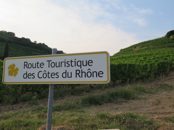 Vin : en vallée du Rhône, un nouveau mouvement dissident réclame « des prix décents » 