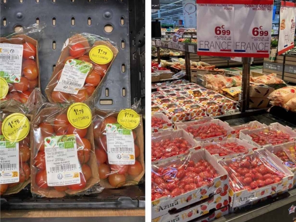 Légumes de France a manifesté contre les tomates marocaines