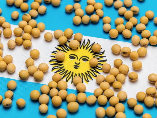Argentine : la sécheresse plombe la production de soja