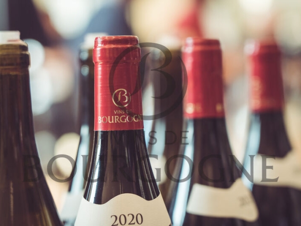 Vins de Bourgogne : nouveau record de ventes à l'export 