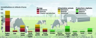 En UE, un tiers du capital agricole hors foncier sert à produire du lait