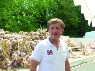 Ail : un bon cru 2020
