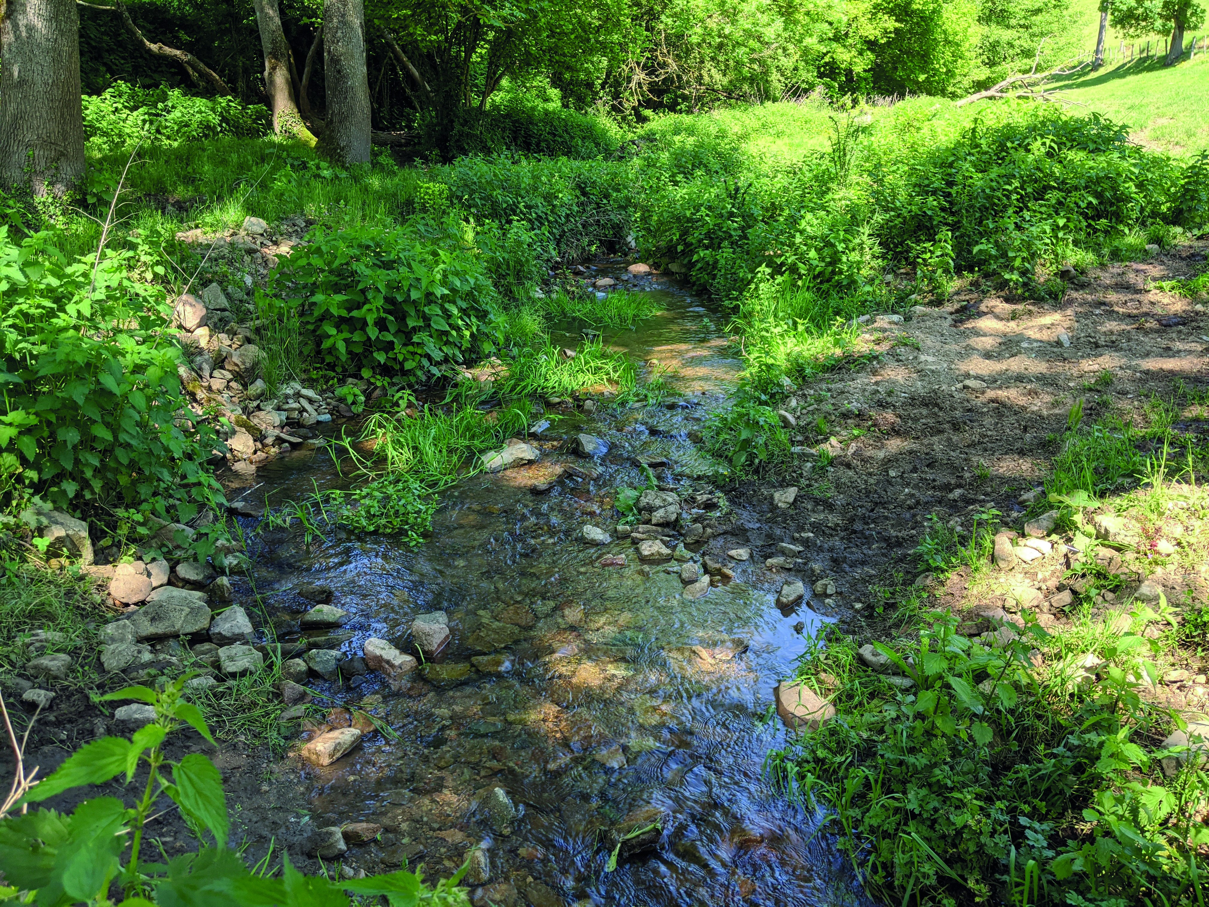 Gestion des eaux : la profession agricole rejette le projet  de Sdage 2022-2027