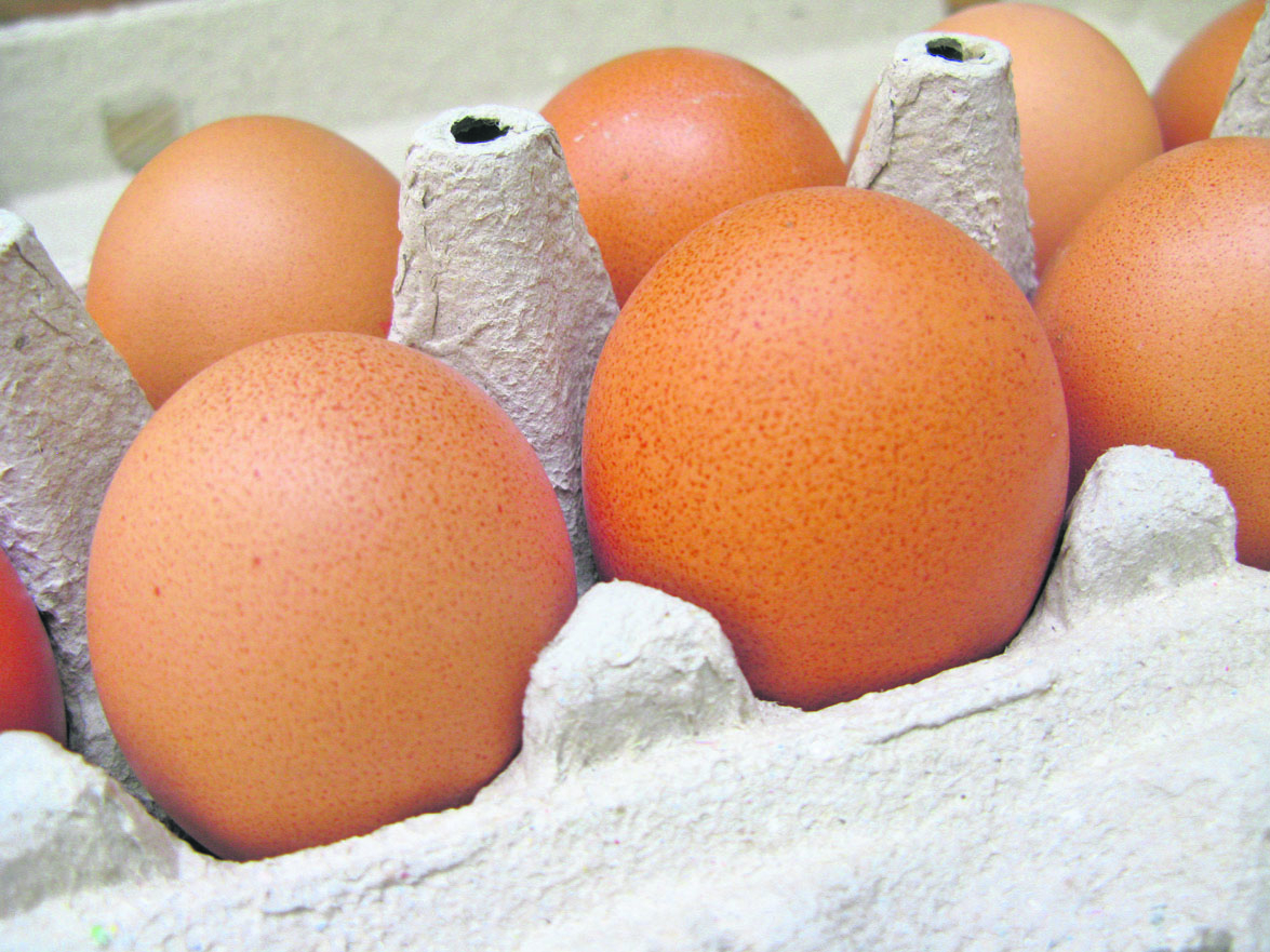 L’œuf séduit  le consommateur