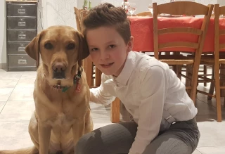 Des chiens d’assistance pour jeunes diabétiques