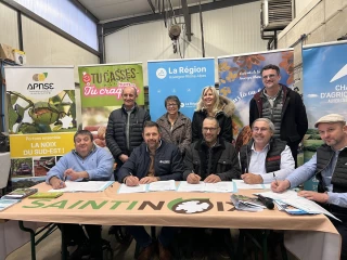 <B>Un plan pour accompagner la filière noix</B>