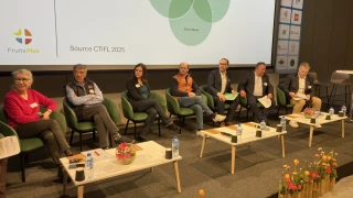 Du verger au magasin, relancer la consommation de fruits à noyau