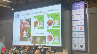 Du côté d’Intermarché et Netto : qualité, prix et lisibilité