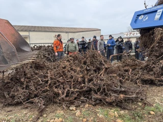 Les viticulteurs convoquent la GMS et les négociants