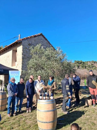 Des rosiers pour sceller l’identité du territoire viticole du Nyonsais