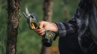 Davantage d’agilité avec les sécateurs électriques à batterie intégrée