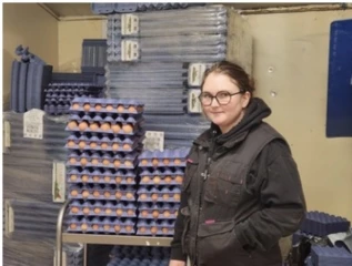 Une filière œuf à la croisée des chemins