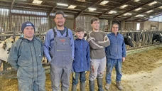 Les holsteins  du plateau,  un troupeau au très haut niveau génétique