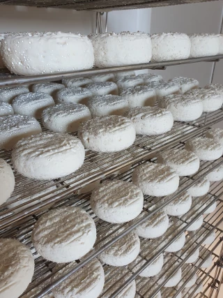 Adapter la fromagerie du Pradel au changement climatique