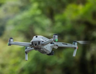 Drones et élevage : quand la technologie prend son envol