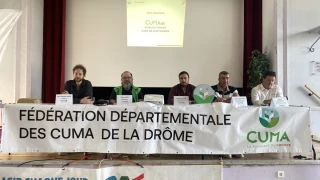 Le collectif comme bouclier et moteur d’innovation