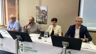 Entre crises et projets, tenir le cap