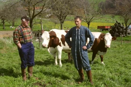 Le Service de remplacement s’inquiète de l’explosion des demandes d’aide au répit