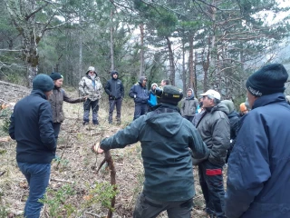 La valorisation du bois sylvopastoral s’expérimente
