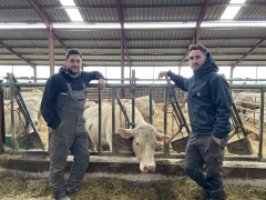 Au Gaec Lacour, la viande part en circuit court