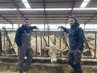Au Gaec Lacour, la viande part en circuit court
