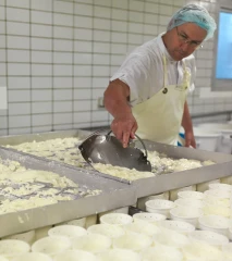 Bâti alimentaire : un levier clé, encore peu visible, des circuits courts
