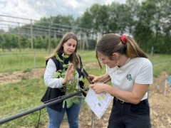 Les projets Pépigramette expérimentent les fruits à coques et bientôt les agrumes