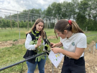 Les projets Pépigramette expérimentent les fruits à coques et bientôt les agrumes