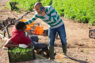 Exploitants agricoles : bien réagir en cas d’accident du travail  