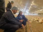 L’aviculture fait de l’œil à l’enseignement agricole 