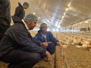 L’aviculture fait de l’œil à l’enseignement agricole 