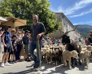 Dans le Diois, un sanctuaire du pastoralisme et de la viticulture