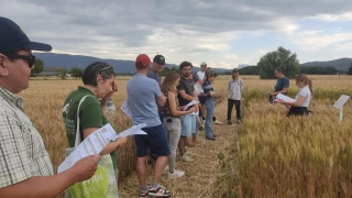 En grandes cultures bio, le marché s’assainit et l’avenir s’éclaircit