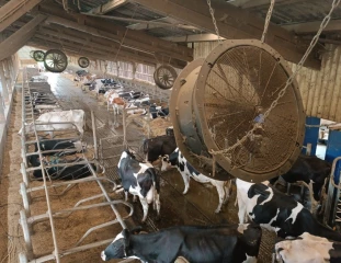 Les clés d’un bâtiment performant durant les fortes chaleurs