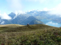 « Une occasion en or de porter la voix des agriculteurs des Alpes »