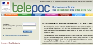 Aides animales : ouverture de la télédéclaration