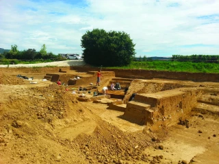 De la vigne, 500 ans avant J.-C. !