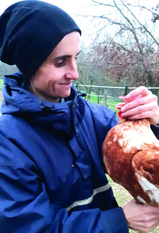 Les écoles nationales vétérinaires  bientôt accessibles en post-bac