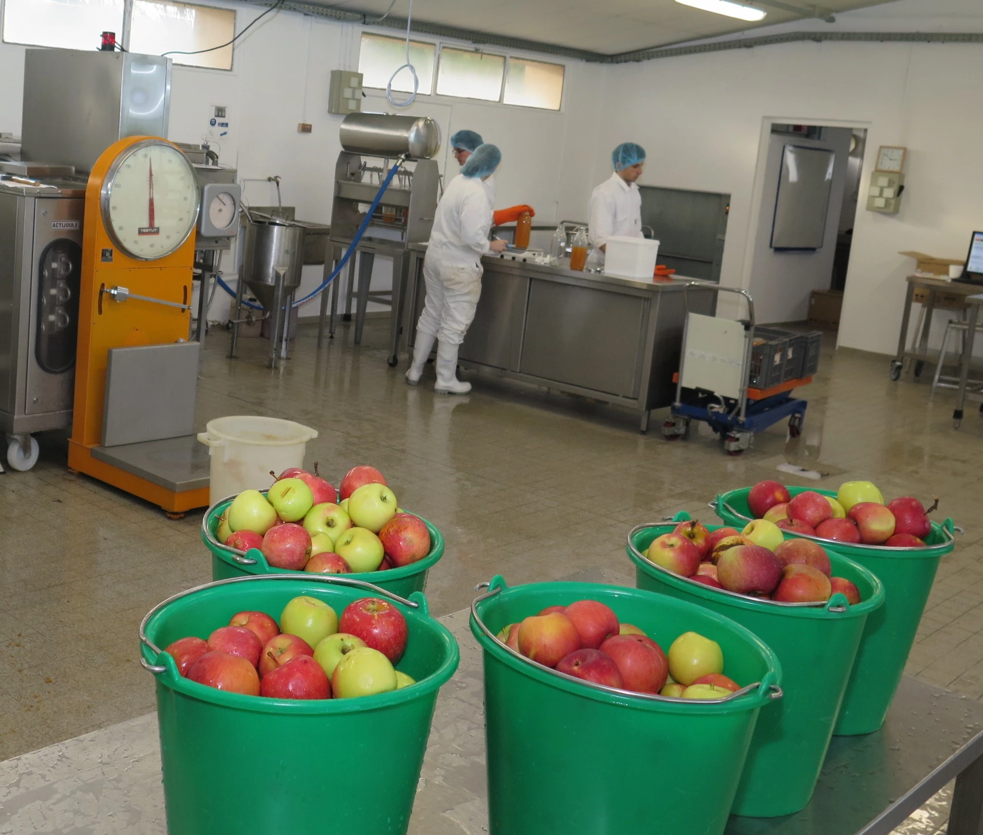 La filière alimentaire : des débouchés assurés