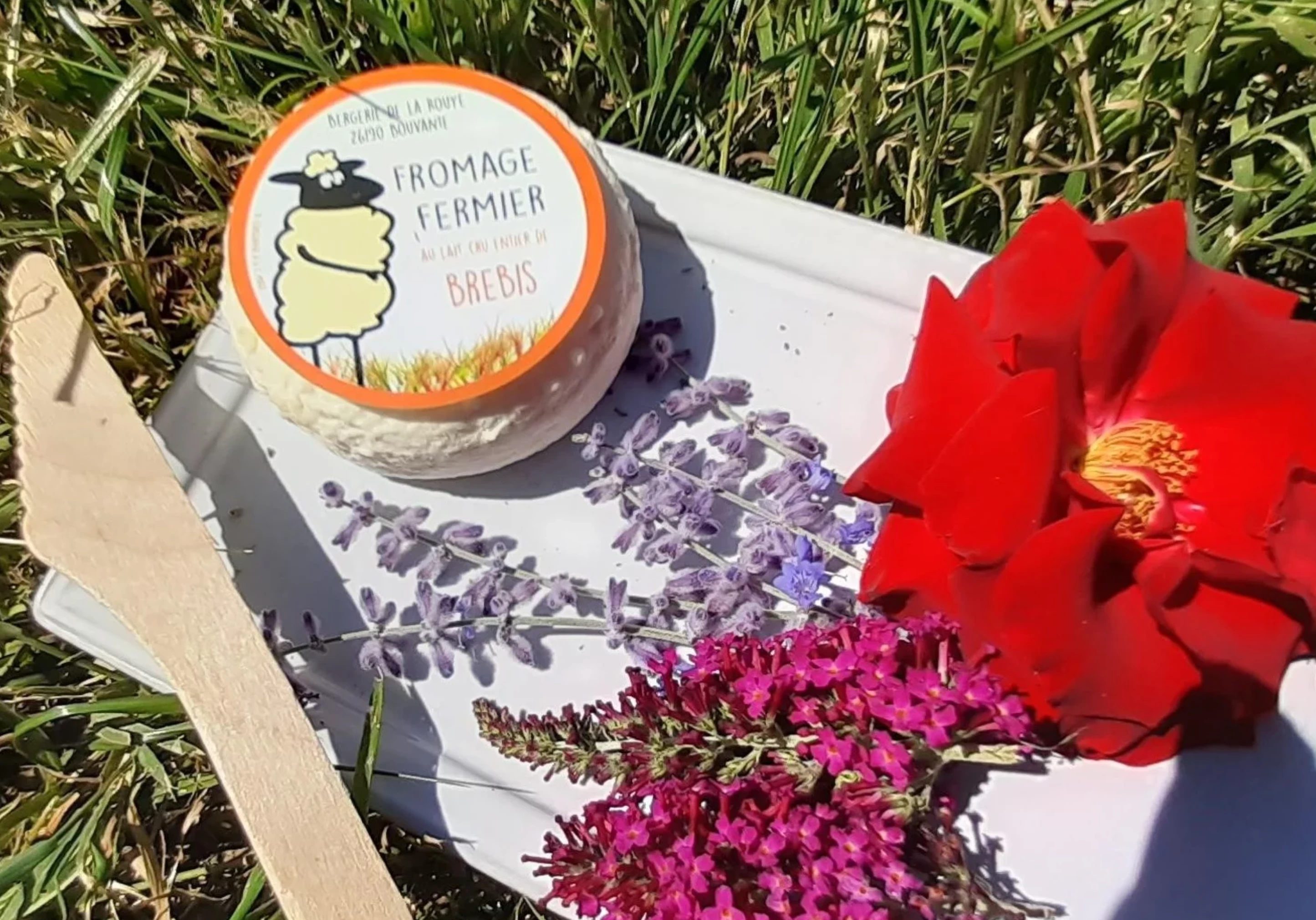 Des fromages, des yaourts au lait de brebis et des prix