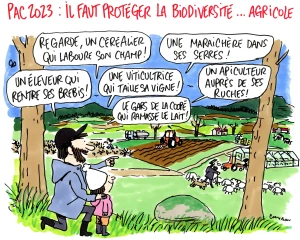 Le dessin de la semaine 6