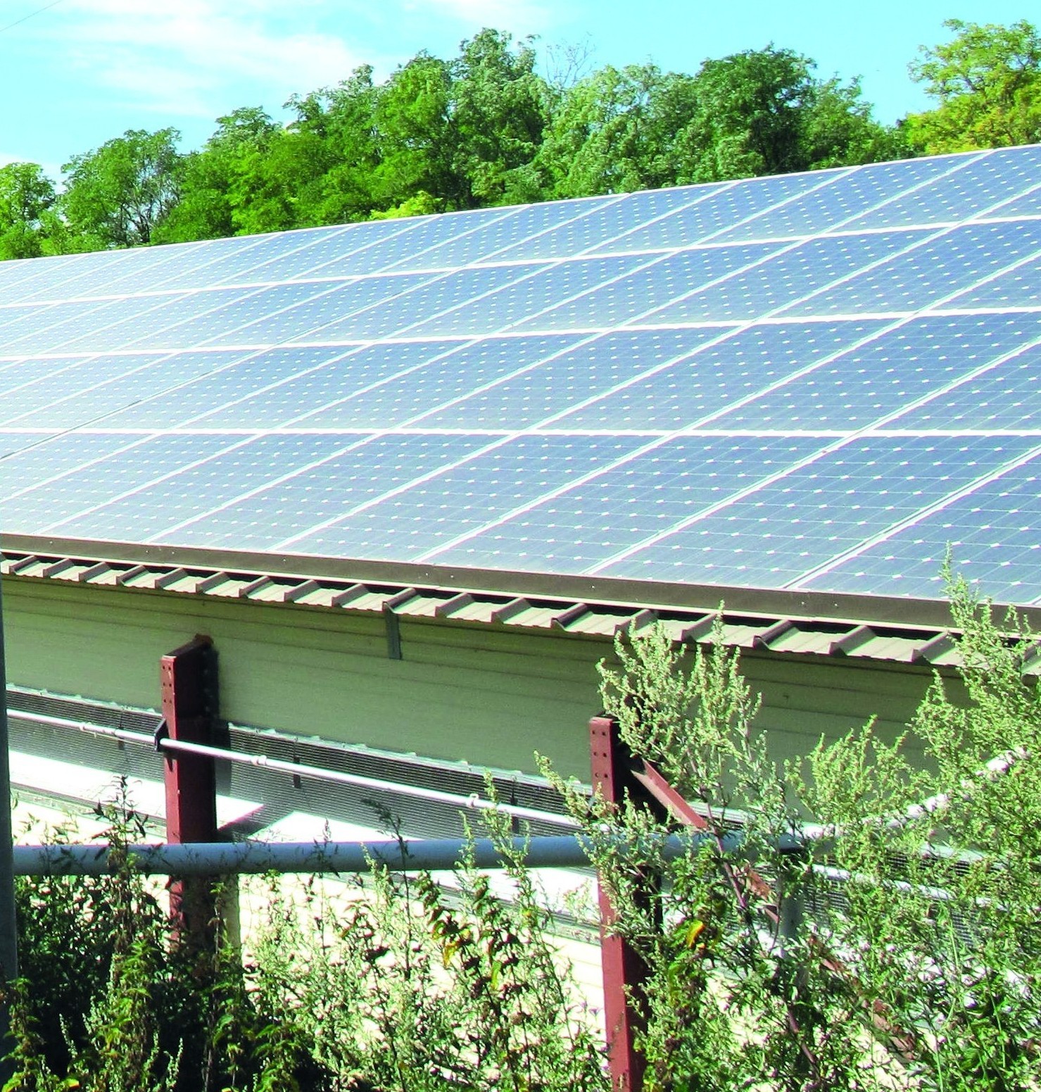 Agriculture et photovoltaïque : accord gagnant-gagnant ?